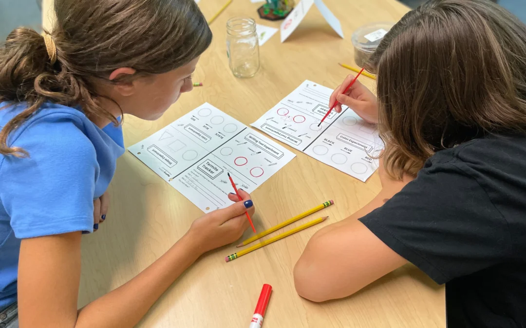 Demystifying Dyslexia